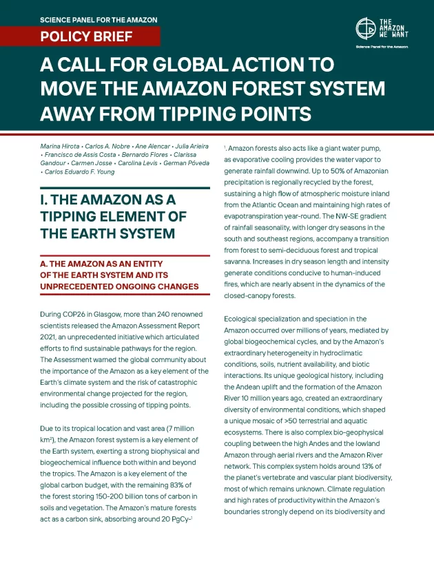 A Call for Global Action to Move the Amazon Forest System Away from Tipping Points (Extended Version)