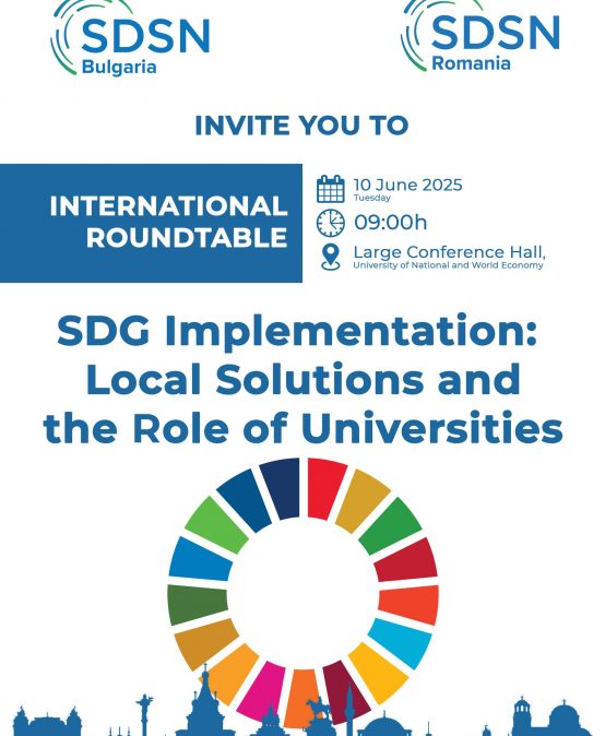 SDG Implementation: Local Solutions and the Role of Universities